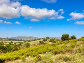 Histórica-finca-con-piscina-y-pista-de-tenis-bien-situada-muy-cerca-de-la-costa-Llorencina