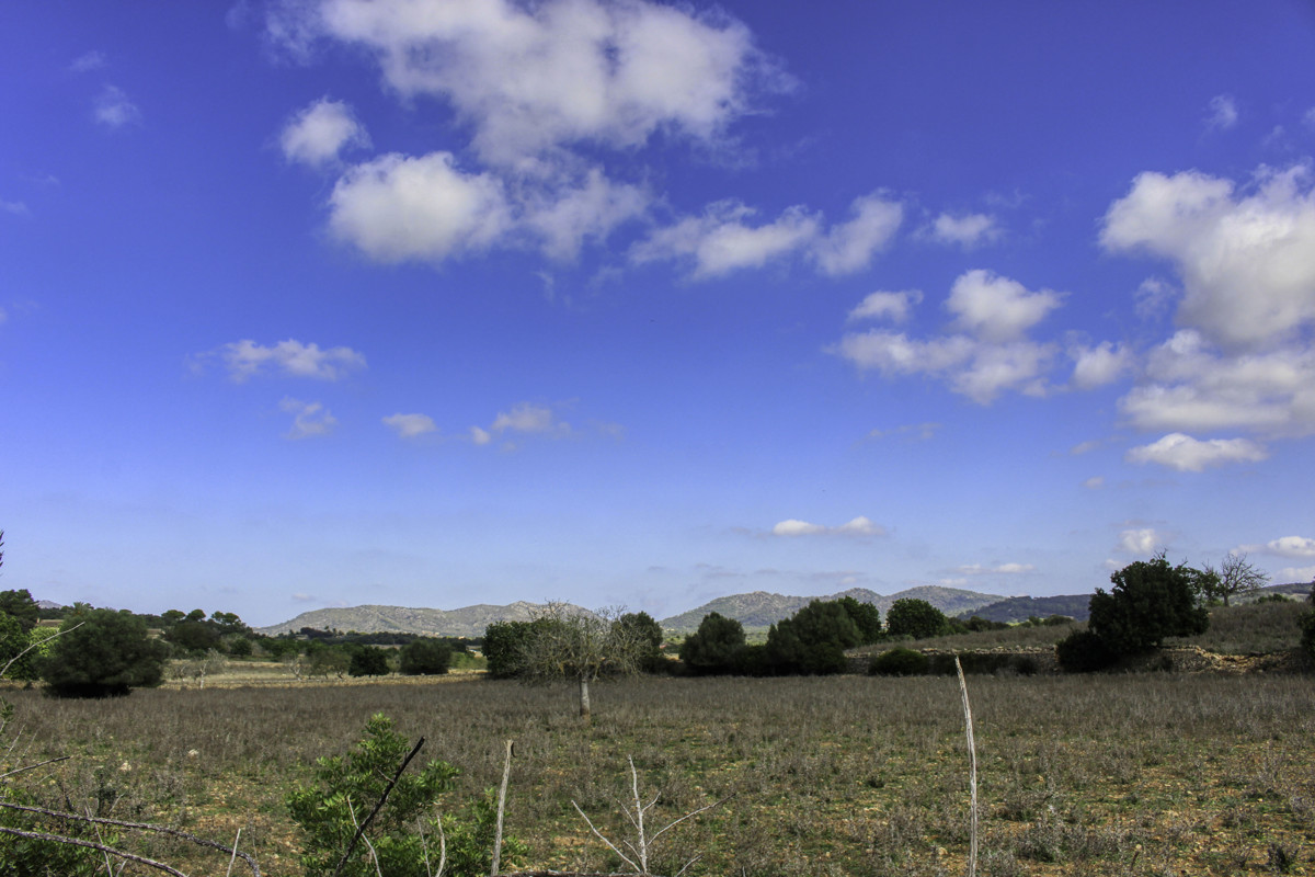 Histórica-finca-con-piscina-y-pista-de-tenis-bien-situada-muy-cerca-de-la-costa-Llorencina