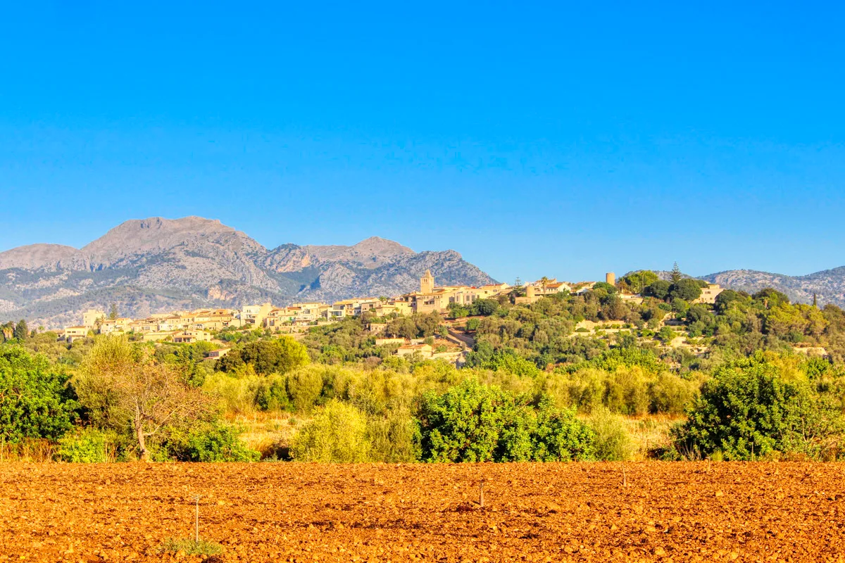 En-venta-finca-con-licencia-para-construir-casa-y-piscina-en-Búger