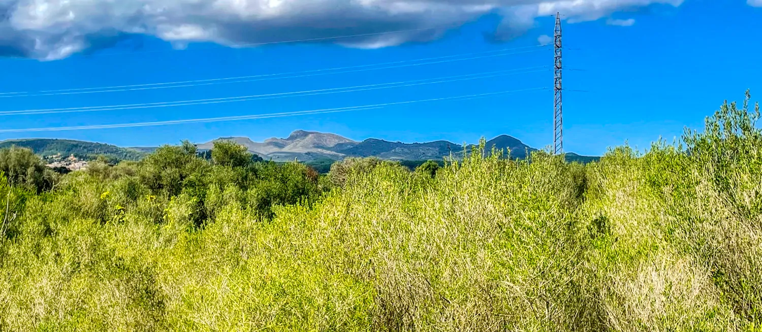 Zu-verkaufen-Haus-ohne-Fertigstellung-in-guter-Lage-von-Artá