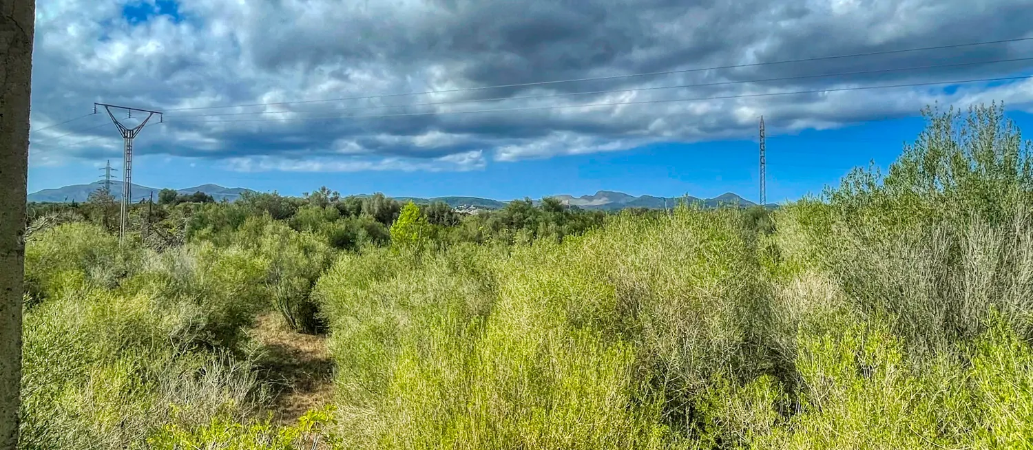 Zu-verkaufen-Haus-ohne-Fertigstellung-in-guter-Lage-von-Artá