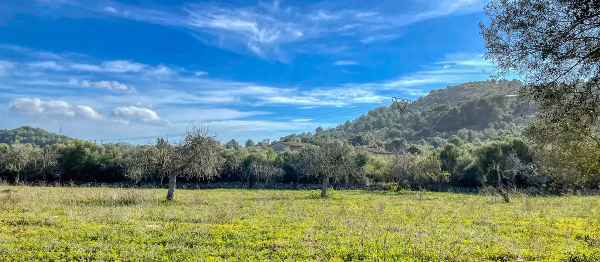 Zu-verkaufen-Haus-ohne-Fertigstellung-in-guter-Lage-von-Artá