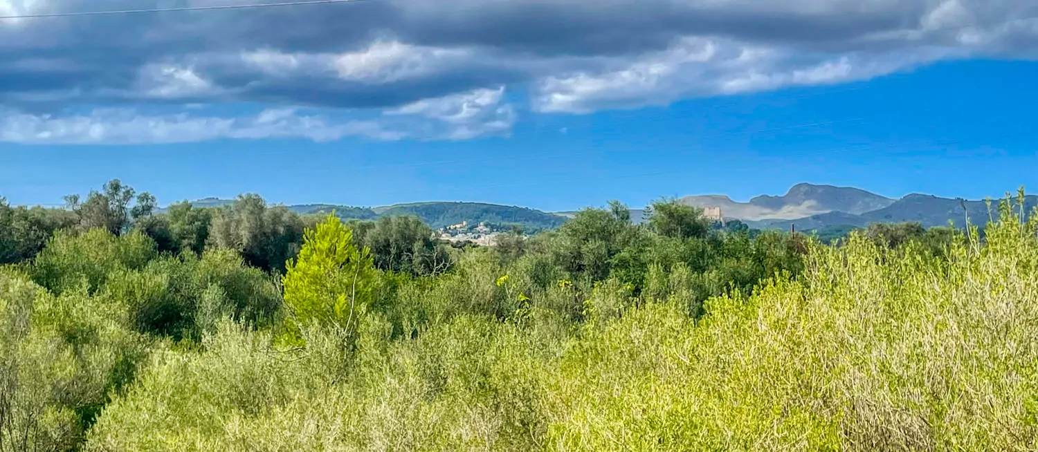 Zu-verkaufen-Haus-ohne-Fertigstellung-in-guter-Lage-von-Artá