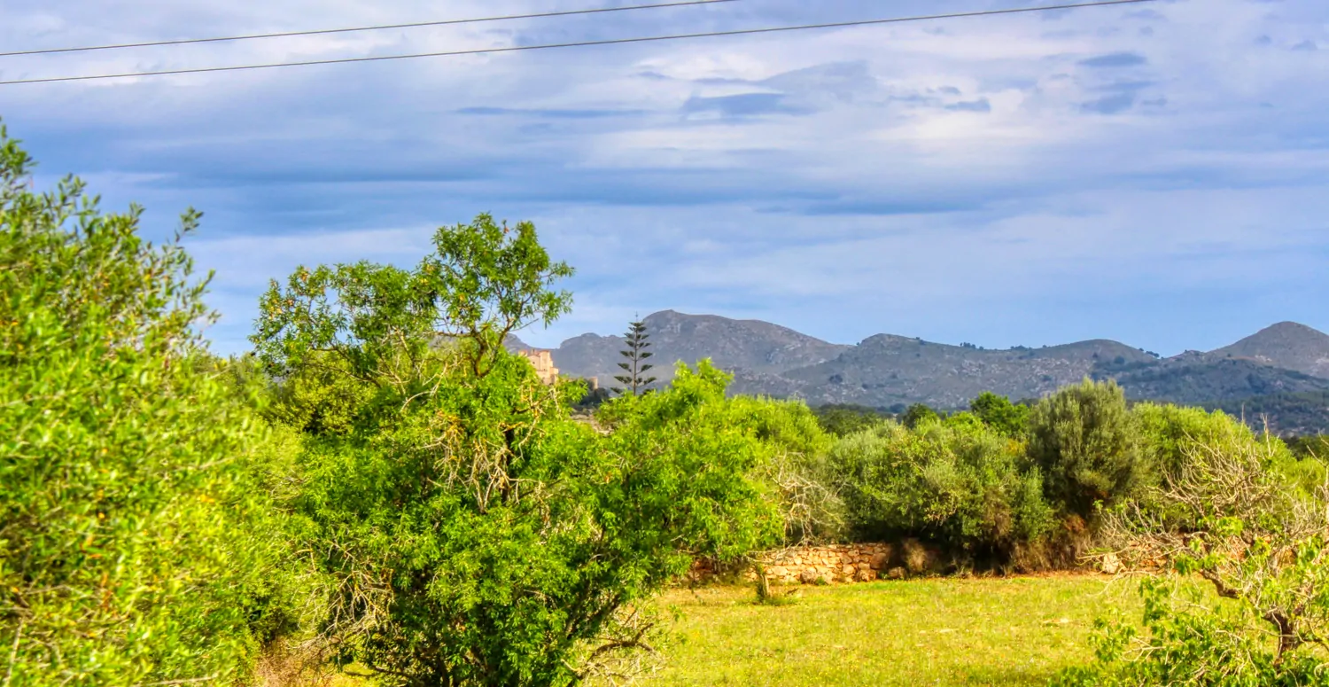 Zu-verkaufen-Haus-ohne-Fertigstellung-in-guter-Lage-von-Artá