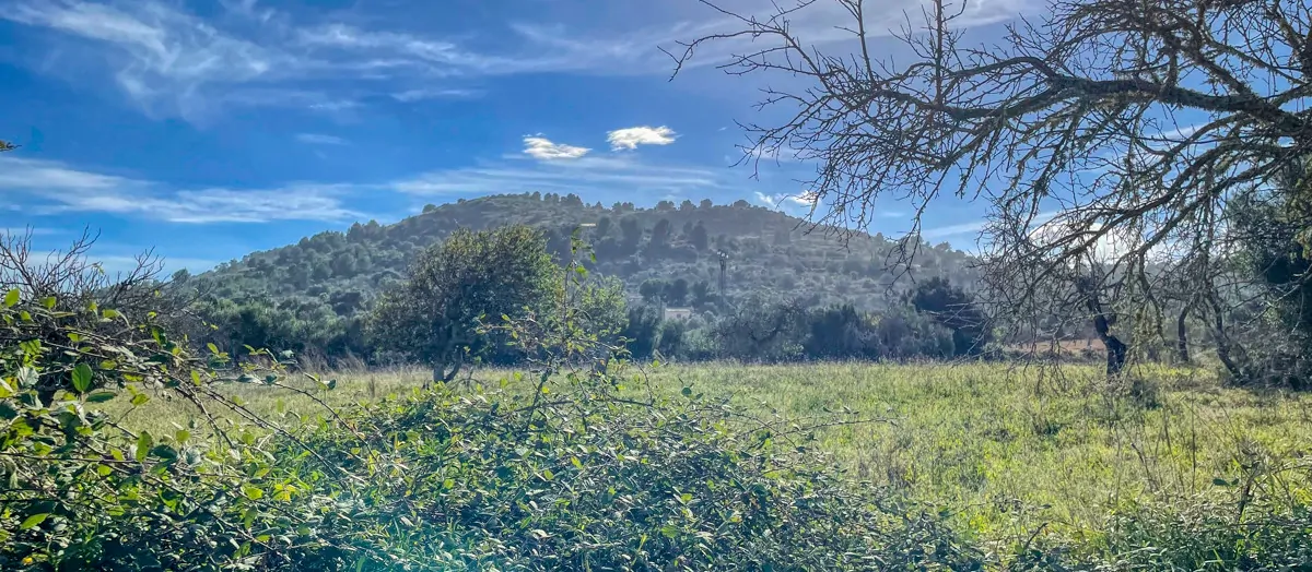 Zu-verkaufen-Haus-ohne-Fertigstellung-in-guter-Lage-von-Artá