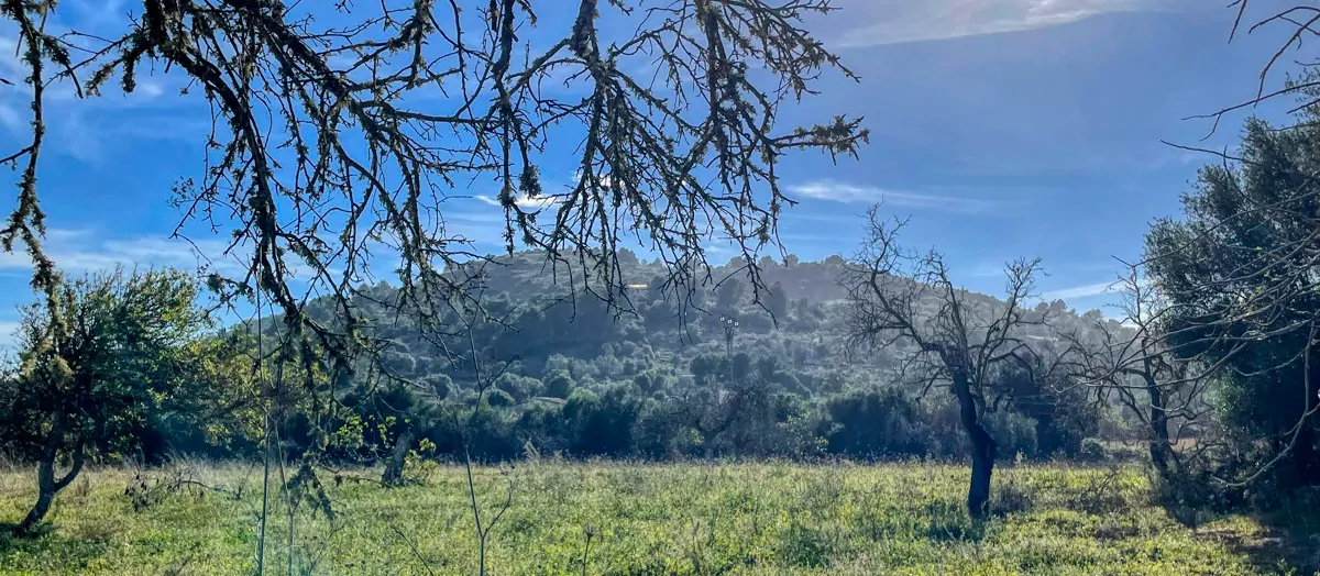 Zu-verkaufen-Haus-ohne-Fertigstellung-in-guter-Lage-von-Artá