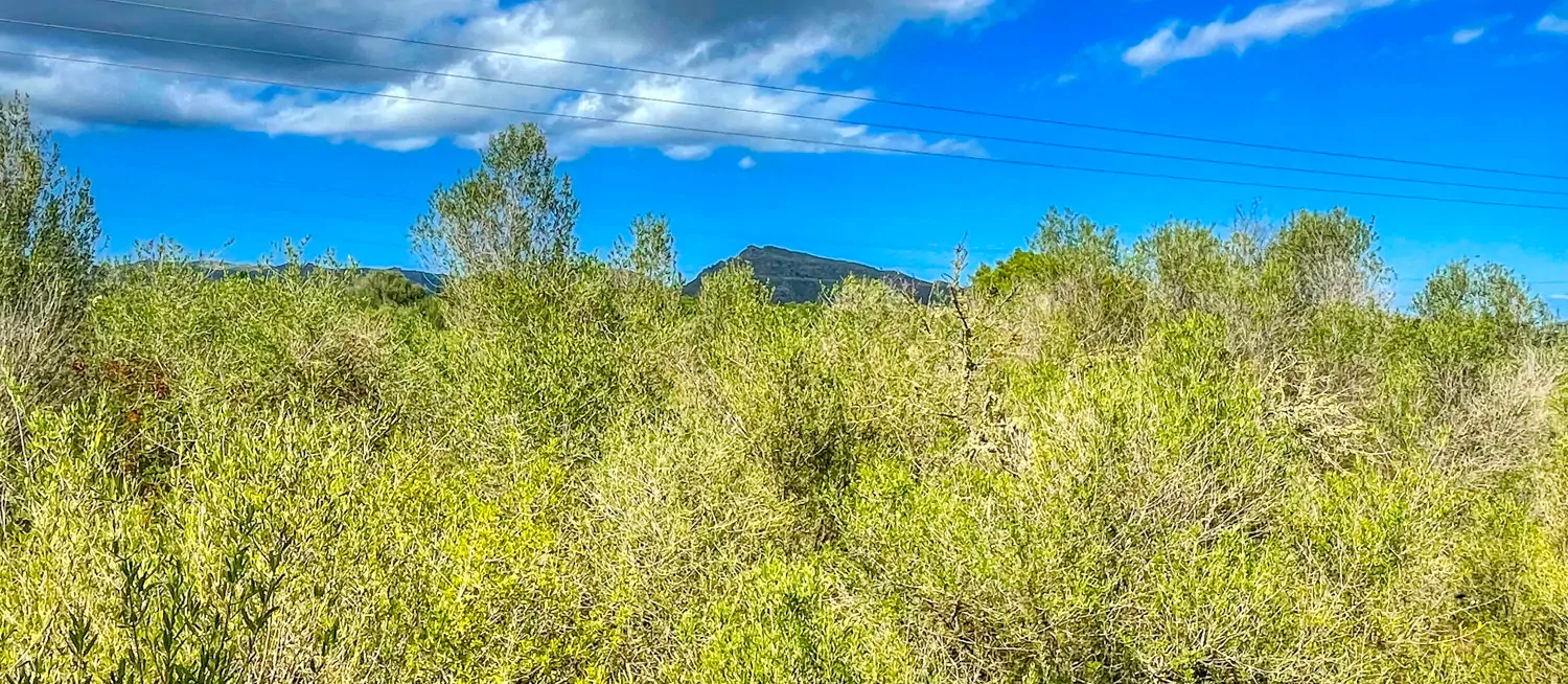 Zu-verkaufen-Haus-ohne-Fertigstellung-in-guter-Lage-von-Artá