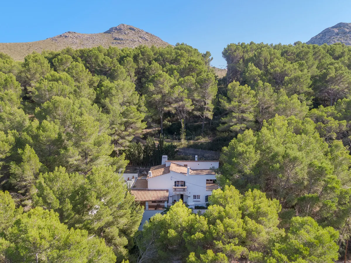 Villa-with-pool-close-to-the-sea-in-Cala-San-Vicente