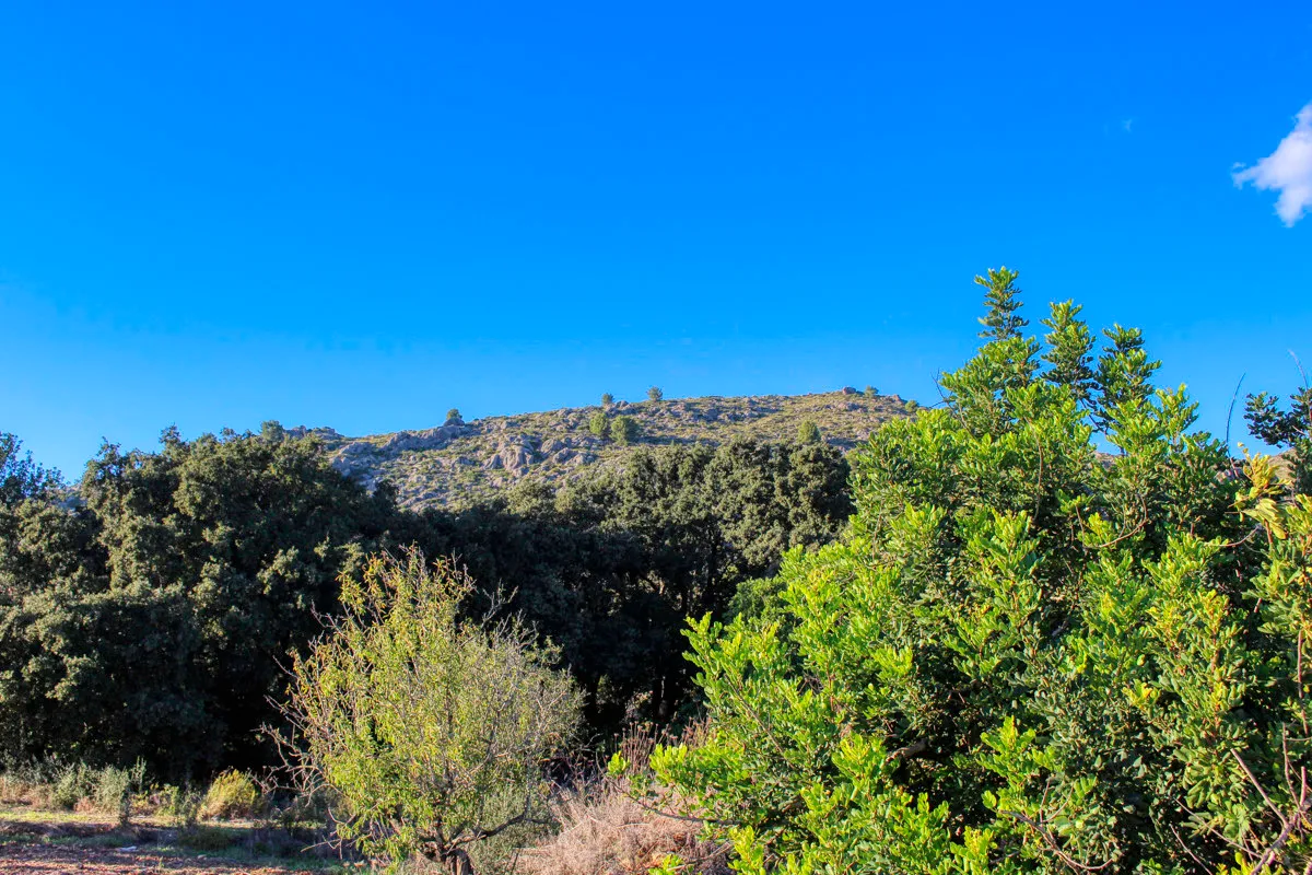 Gran-parcela-con-proyecto-en-venta-en-Pollensa