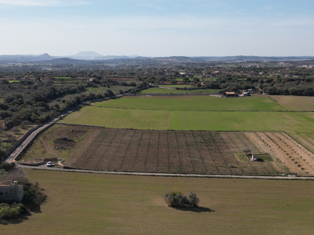 Großes-Grundstück-mit-Basis-Projekt-in-Santa-Margalida