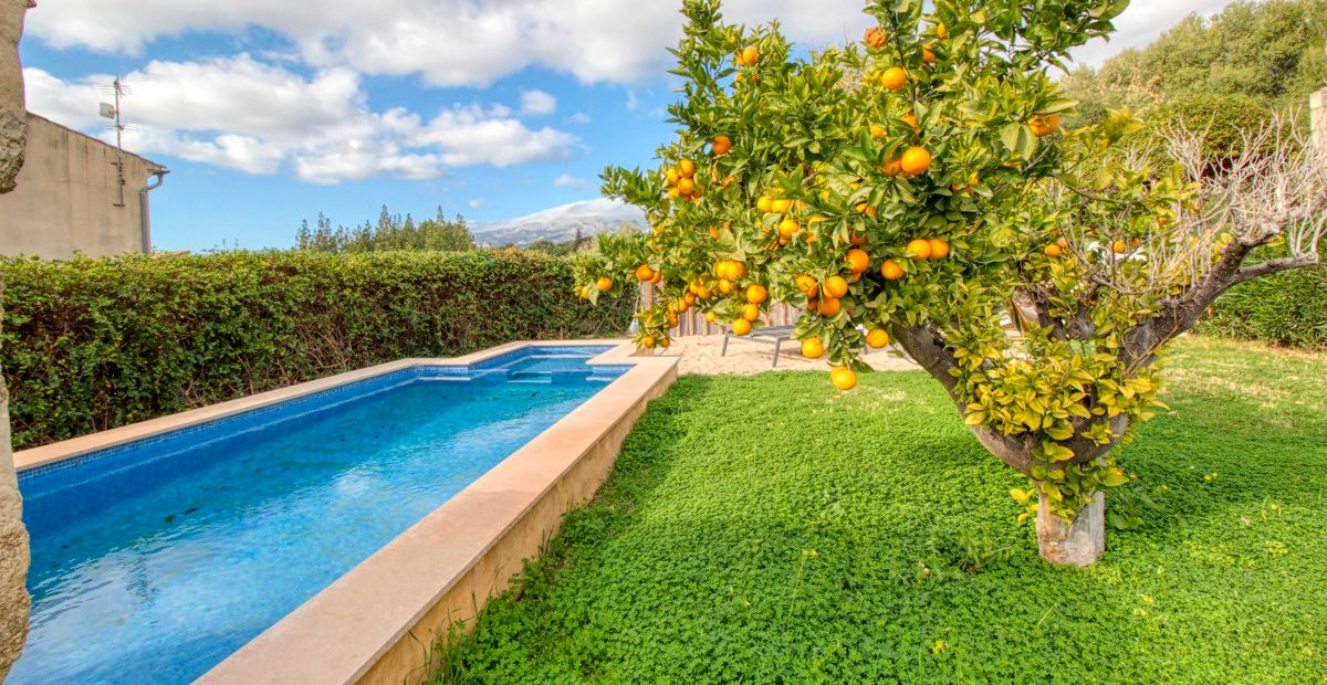 Fantastisches-traditionelles-Haus-zum-Verkauf-mit-Ferienvermietungslizenz-Terrassen-Garten-und-Pool-in-Búger