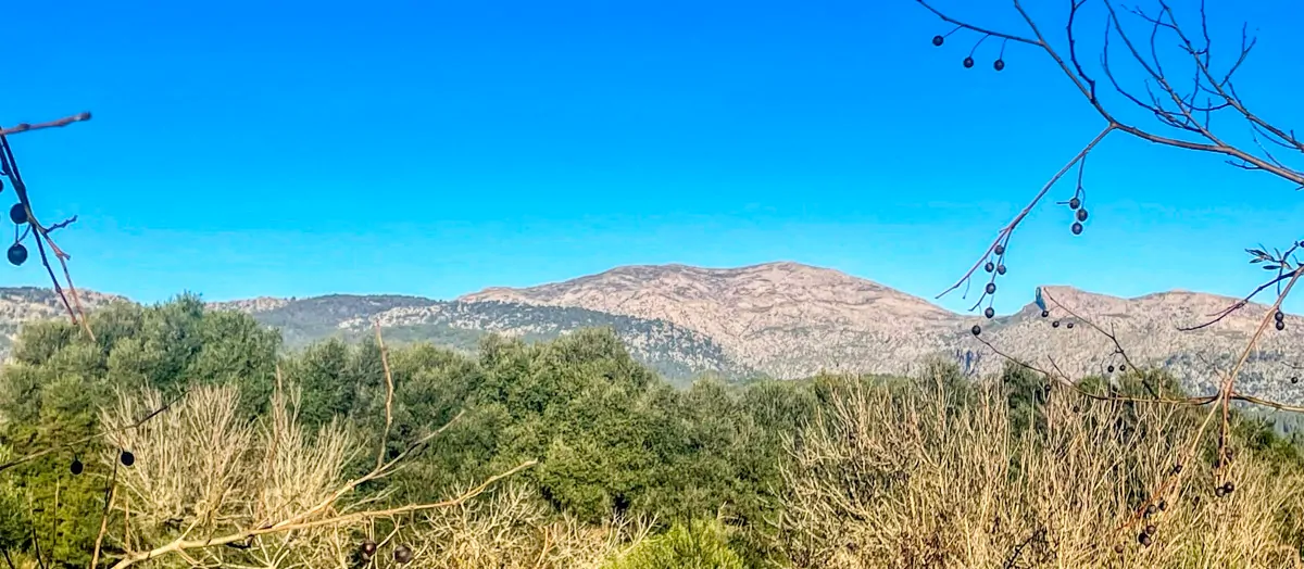 Zu-verkaufen-rustikales-Land-mit-Lizenz-sofort-zu-bauen-ein-Haus-und-Schwimmbad-in-Ullaró