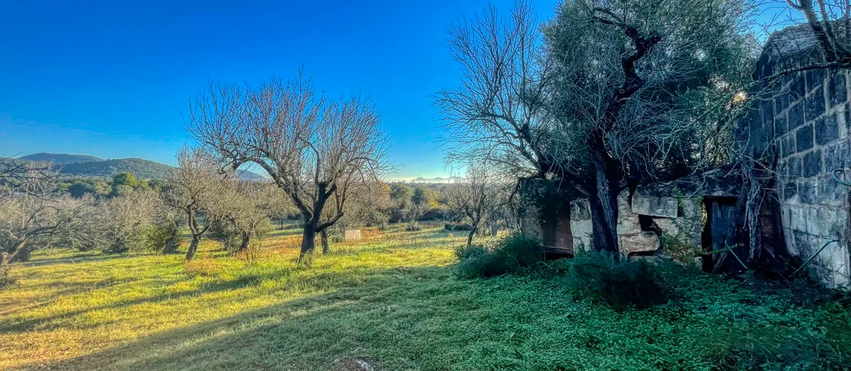 Zu-verkaufen-rustikales-Land-mit-Lizenz-sofort-zu-bauen-ein-Haus-und-Schwimmbad-in-Ullaró