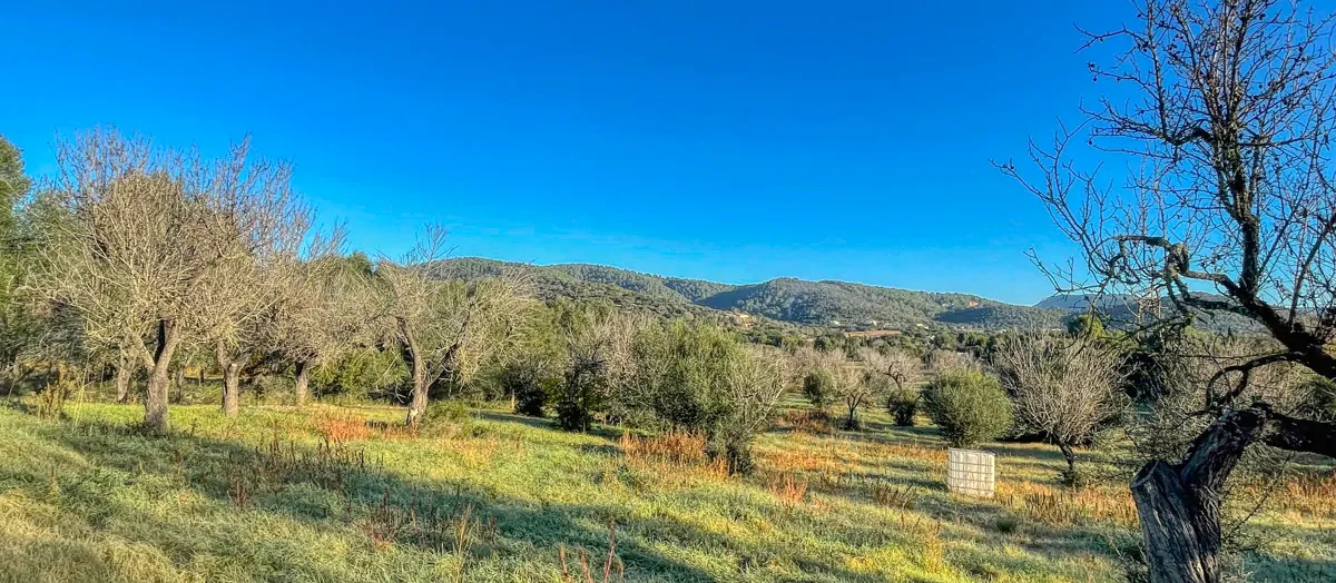 Zu-verkaufen-rustikales-Land-mit-Lizenz-sofort-zu-bauen-ein-Haus-und-Schwimmbad-in-Ullaró