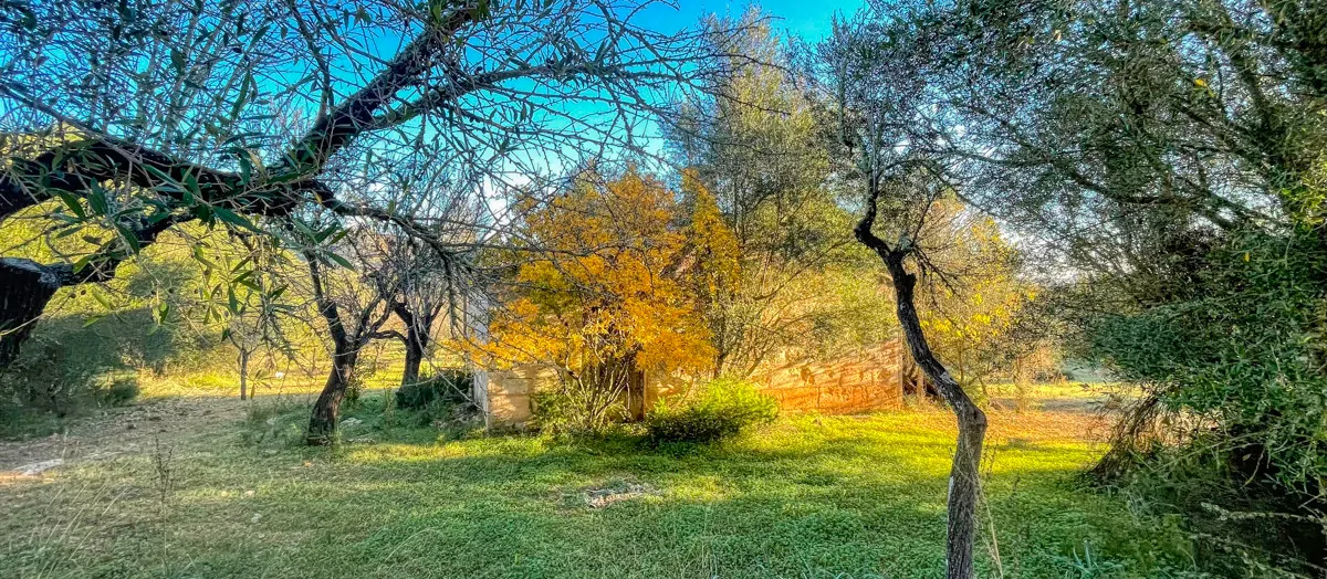 Zu-verkaufen-rustikales-Land-mit-Lizenz-sofort-zu-bauen-ein-Haus-und-Schwimmbad-in-Ullaró