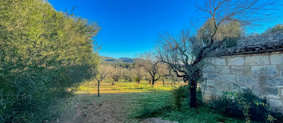 Zu-verkaufen-rustikales-Land-mit-Lizenz-sofort-zu-bauen-ein-Haus-und-Schwimmbad-in-Ullaró