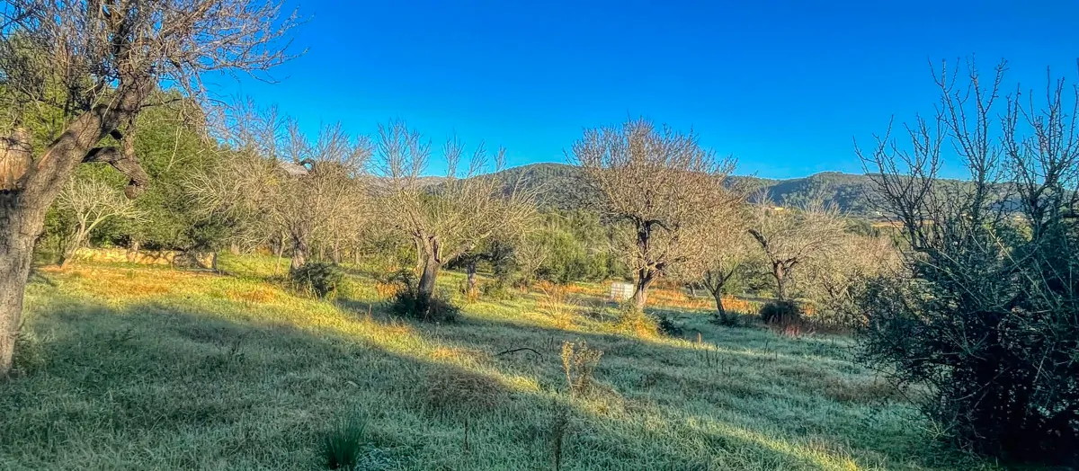 Zu-verkaufen-rustikales-Land-mit-Lizenz-sofort-zu-bauen-ein-Haus-und-Schwimmbad-in-Ullaró