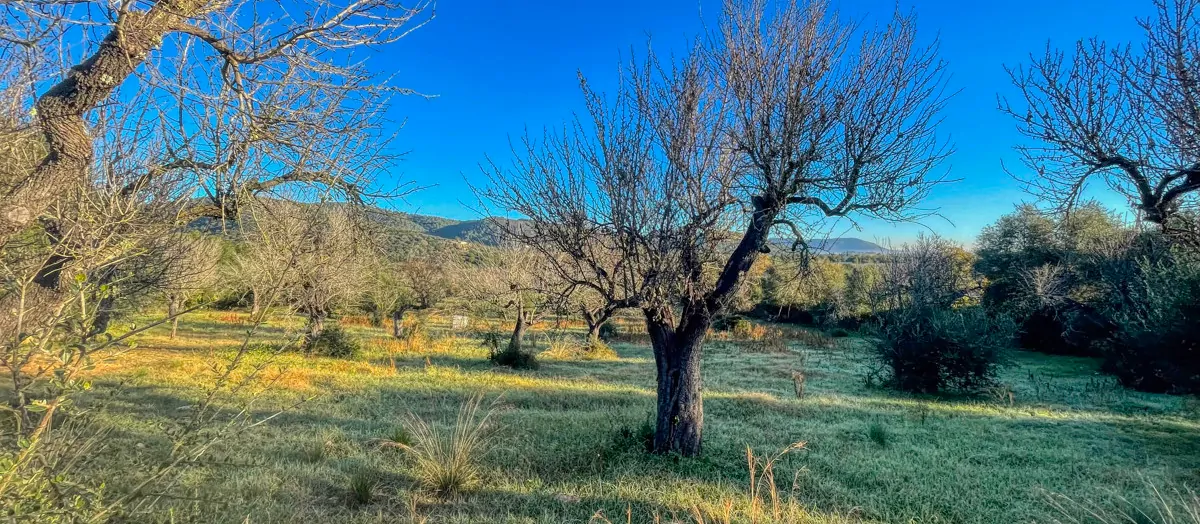 Zu-verkaufen-rustikales-Land-mit-Lizenz-sofort-zu-bauen-ein-Haus-und-Schwimmbad-in-Ullaró