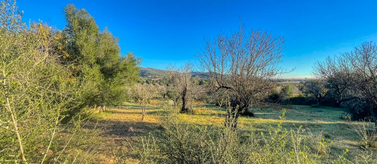 Zu-verkaufen-rustikales-Land-mit-Lizenz-sofort-zu-bauen-ein-Haus-und-Schwimmbad-in-Ullaró