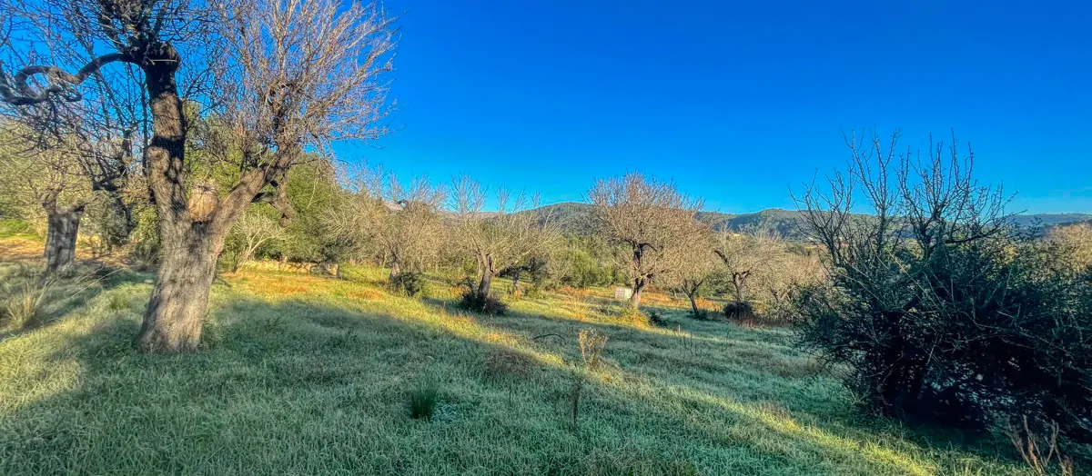 Zu-verkaufen-rustikales-Land-mit-Lizenz-sofort-zu-bauen-ein-Haus-und-Schwimmbad-in-Ullaró