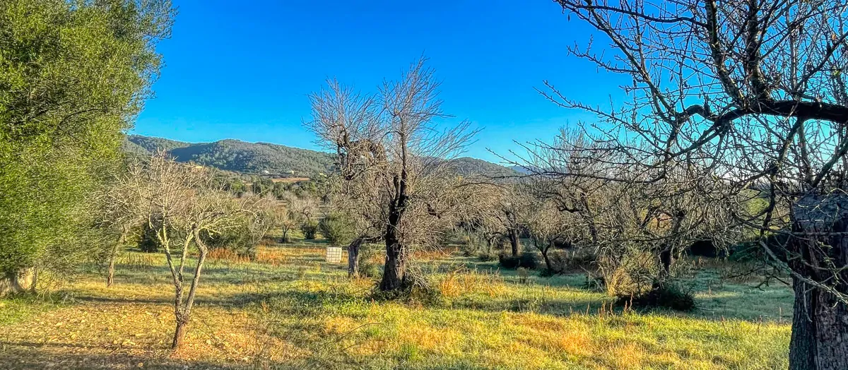 Zu-verkaufen-rustikales-Land-mit-Lizenz-sofort-zu-bauen-ein-Haus-und-Schwimmbad-in-Ullaró