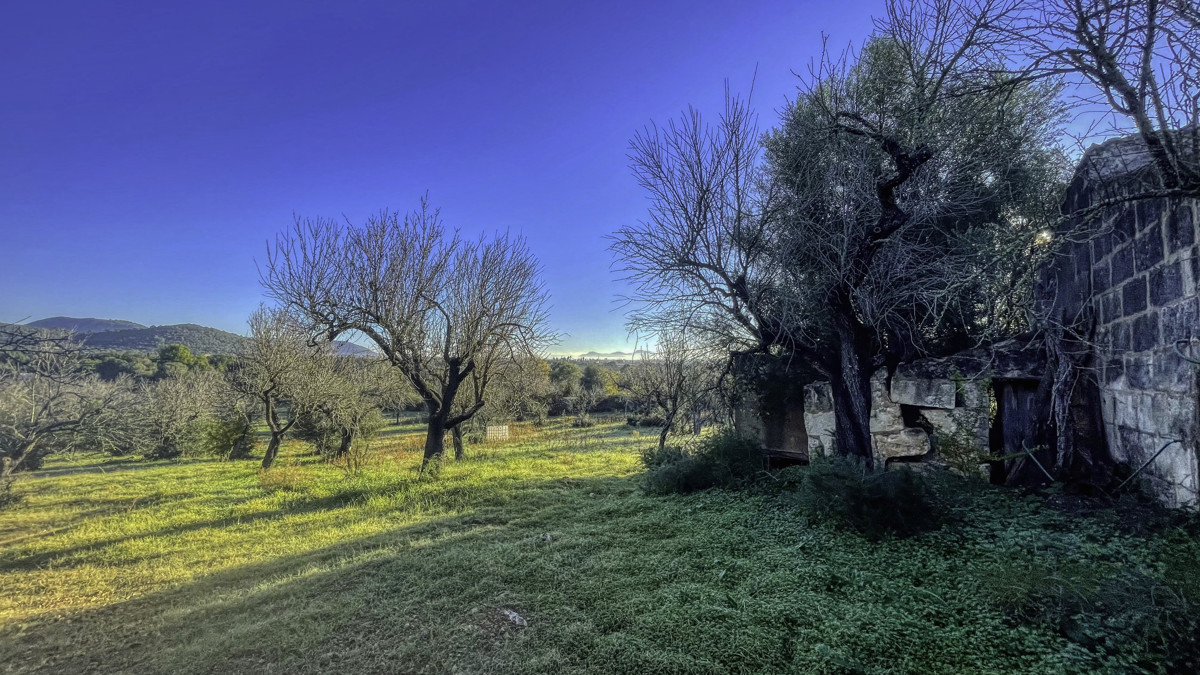 En-venta-finca-rustica-con-licencia-para-construir-de-inmediato-una-casa-y-piscina-en-Ullaró