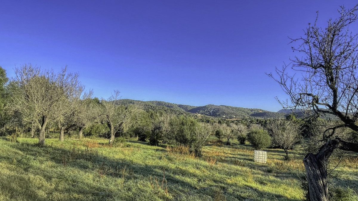 En-venta-finca-rustica-con-licencia-para-construir-de-inmediato-una-casa-y-piscina-en-Ullaró