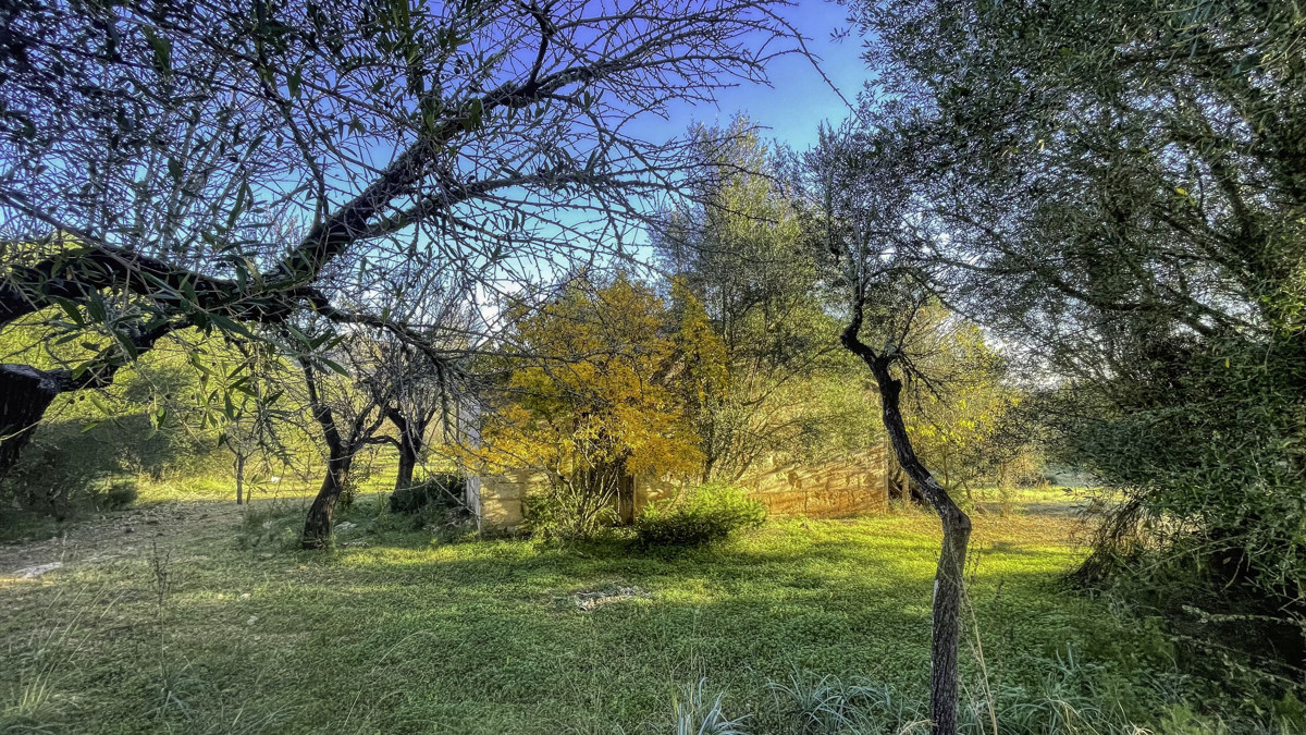 En-venta-finca-rustica-con-licencia-para-construir-de-inmediato-una-casa-y-piscina-en-Ullaró