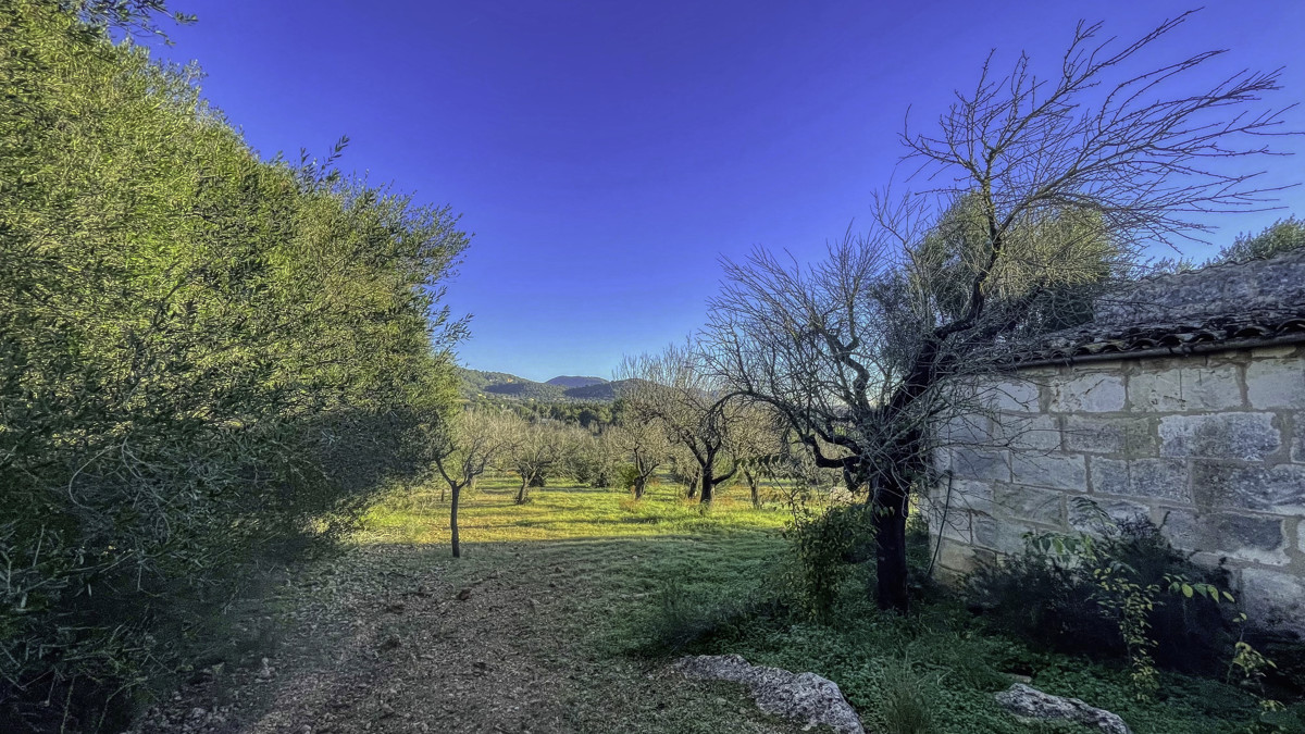 En-venta-finca-rustica-con-licencia-para-construir-de-inmediato-una-casa-y-piscina-en-Ullaró