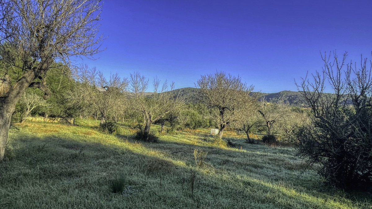 En-venta-finca-rustica-con-licencia-para-construir-de-inmediato-una-casa-y-piscina-en-Ullaró