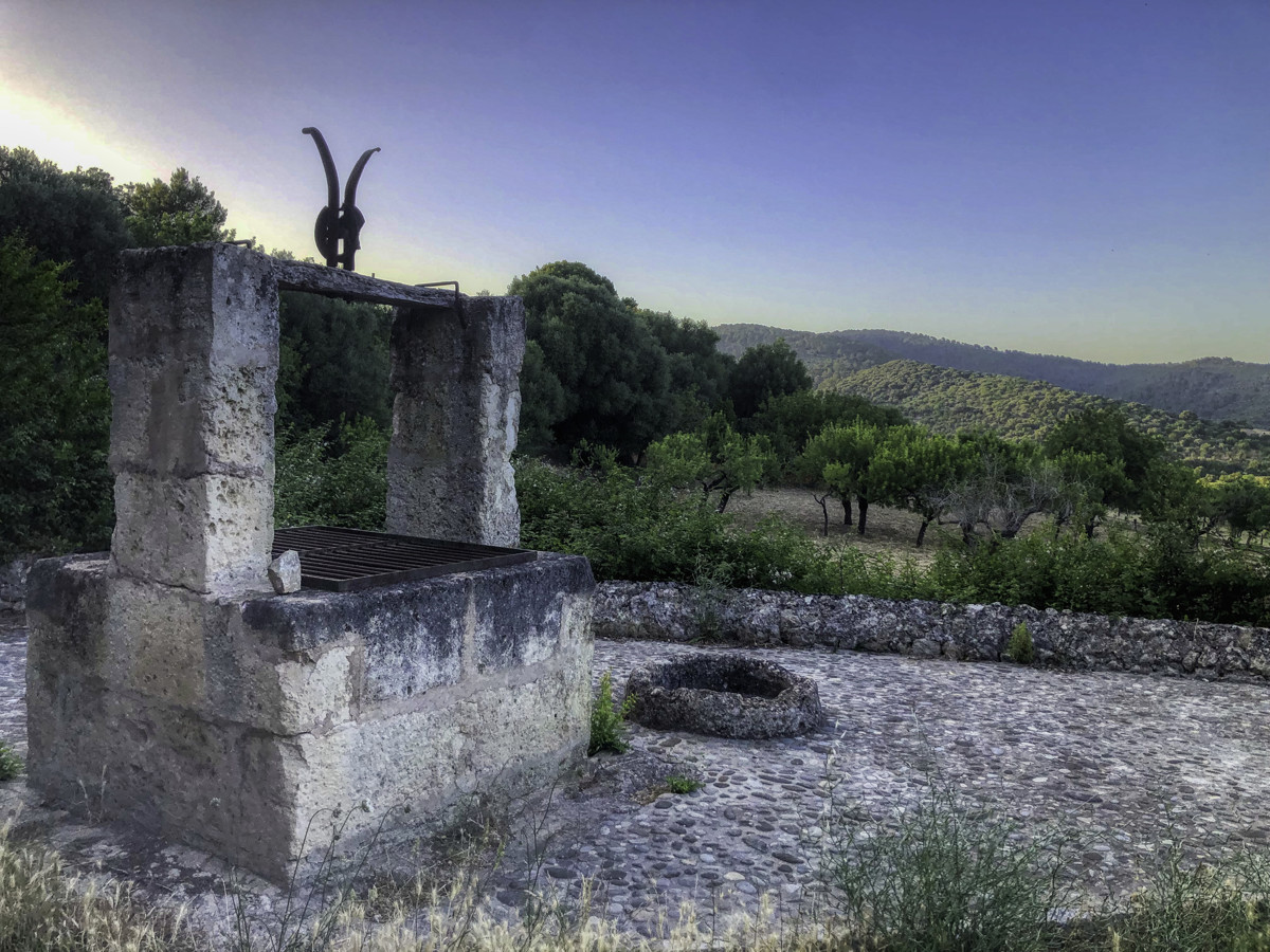 En-venta-finca-rustica-con-licencia-para-construir-de-inmediato-una-casa-y-piscina-en-Ullaró