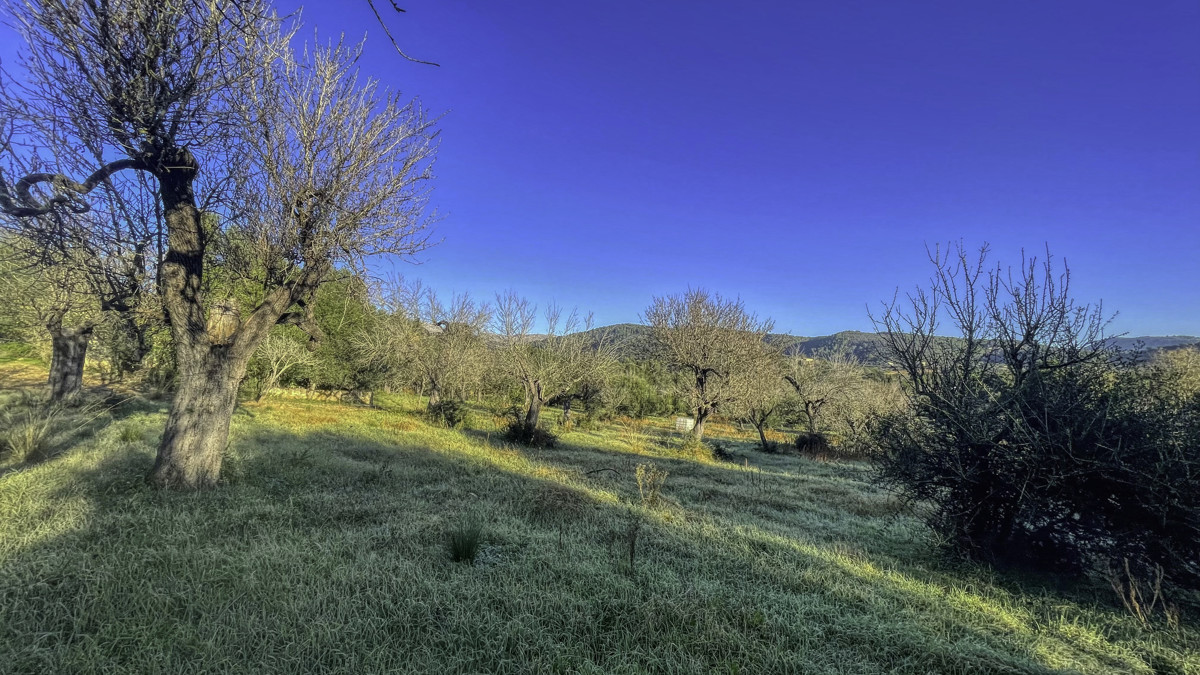 En-venta-finca-rustica-con-licencia-para-construir-de-inmediato-una-casa-y-piscina-en-Ullaró