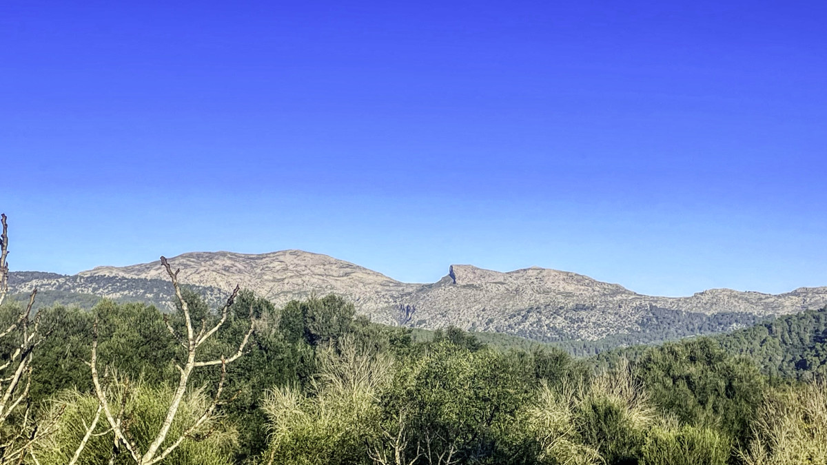 En-venta-finca-rustica-con-licencia-para-construir-de-inmediato-una-casa-y-piscina-en-Ullaró