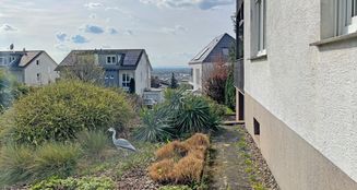 von_poll_real_estate_property_24239523_image_17