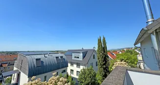 von_poll_real_estate_property_24239572_image_26