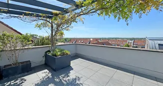 von_poll_real_estate_property_24239572_image_2