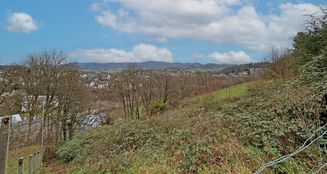 von_poll_real_estate_property_24239589_image_0