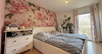 von_poll_real_estate_property_25239599_image_9