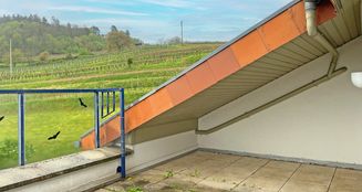 von_poll_real_estate_property_25239597_image_17