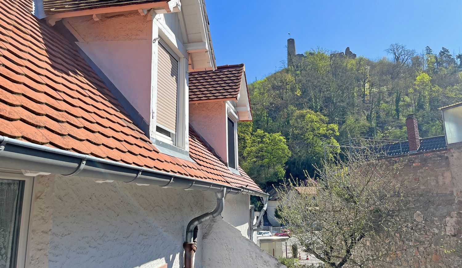 Burgblick