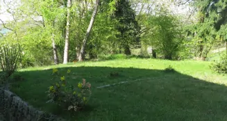 von_poll_real_estate_property_25239608_image_34