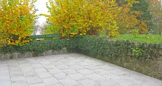 von_poll_real_estate_property_25239608_image_12