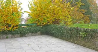 von_poll_real_estate_property_25239608_image_12