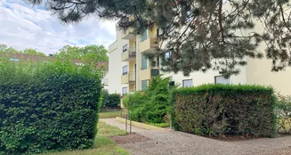 von_poll_real_estate_property_25239605_image_6