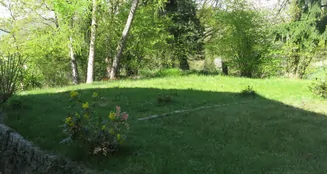 von_poll_real_estate_property_25239614_image_34