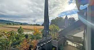 von_poll_real_estate_property_25239654_image_3