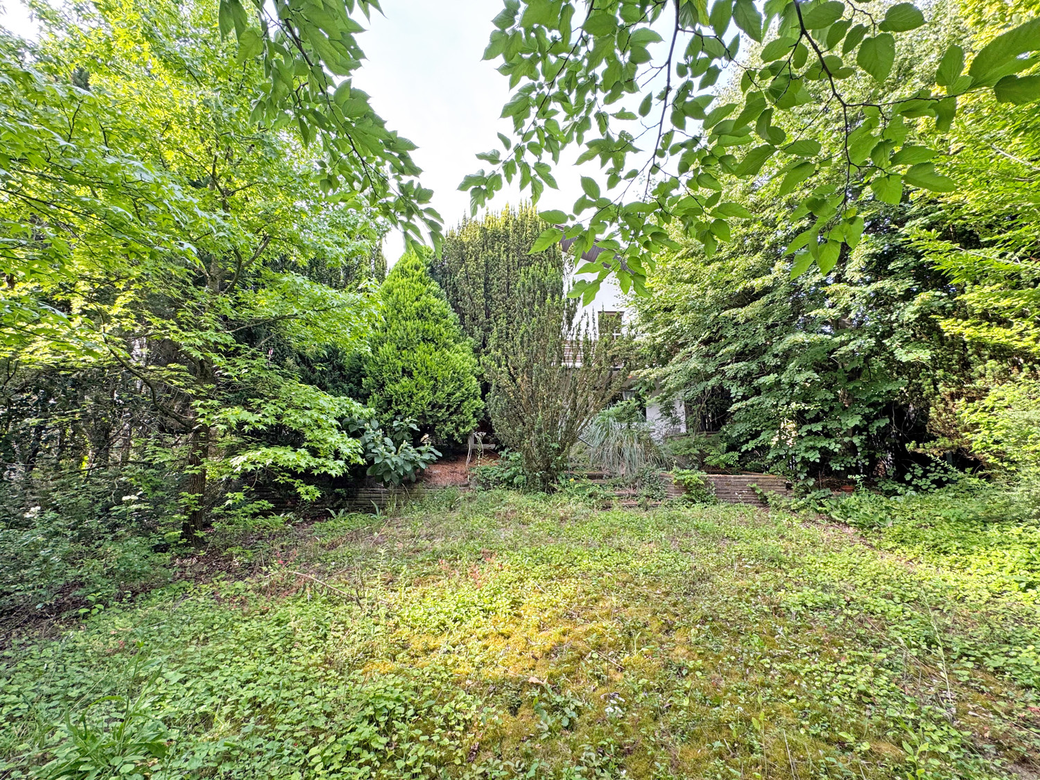 Garten mit Blick aufs Haus