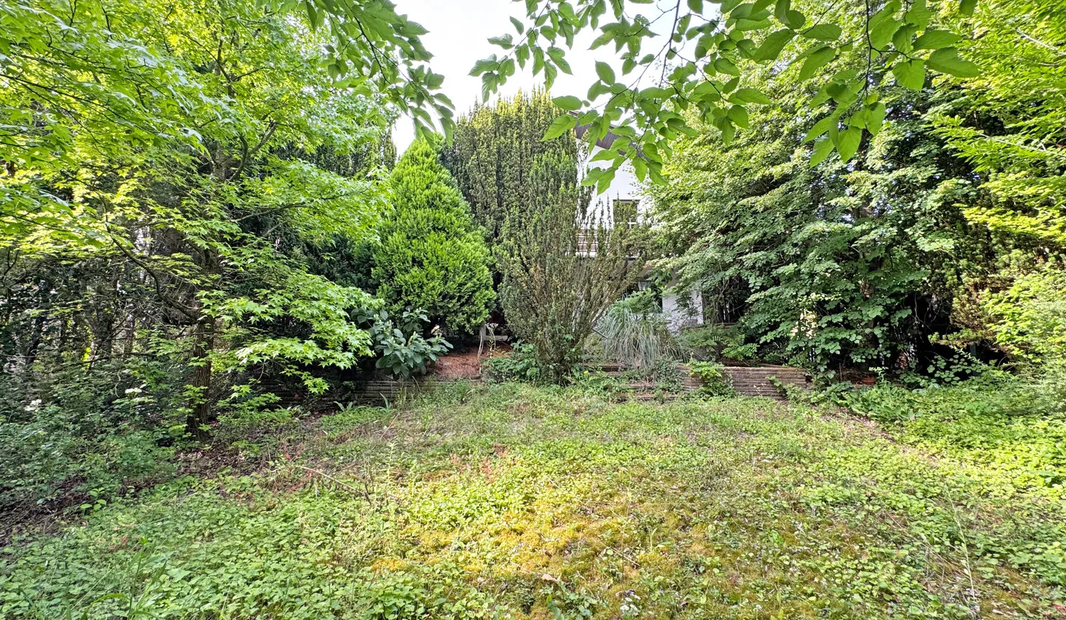 Garten mit Blick aufs Haus