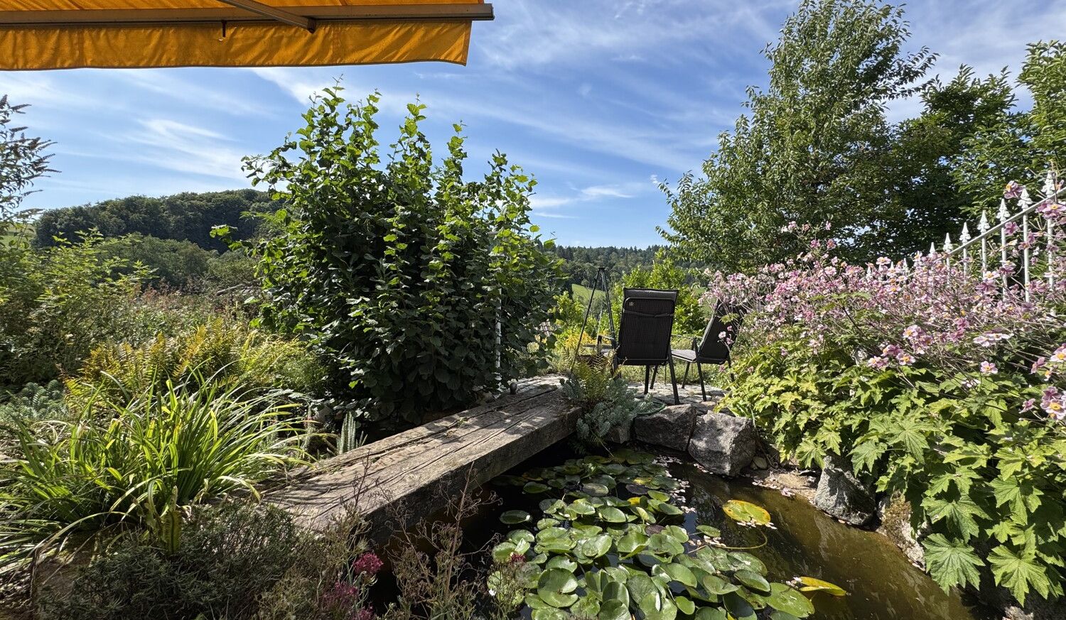Garten mit Teich