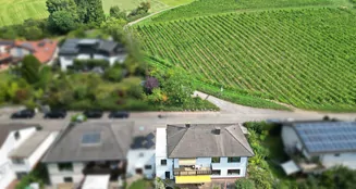 von_poll_real_estate_property_25239637_image_4